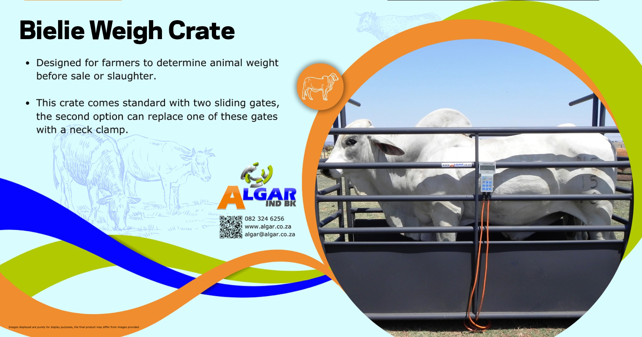 Bielie standard weigh crate / Bielie standaard weegkrat | Algar