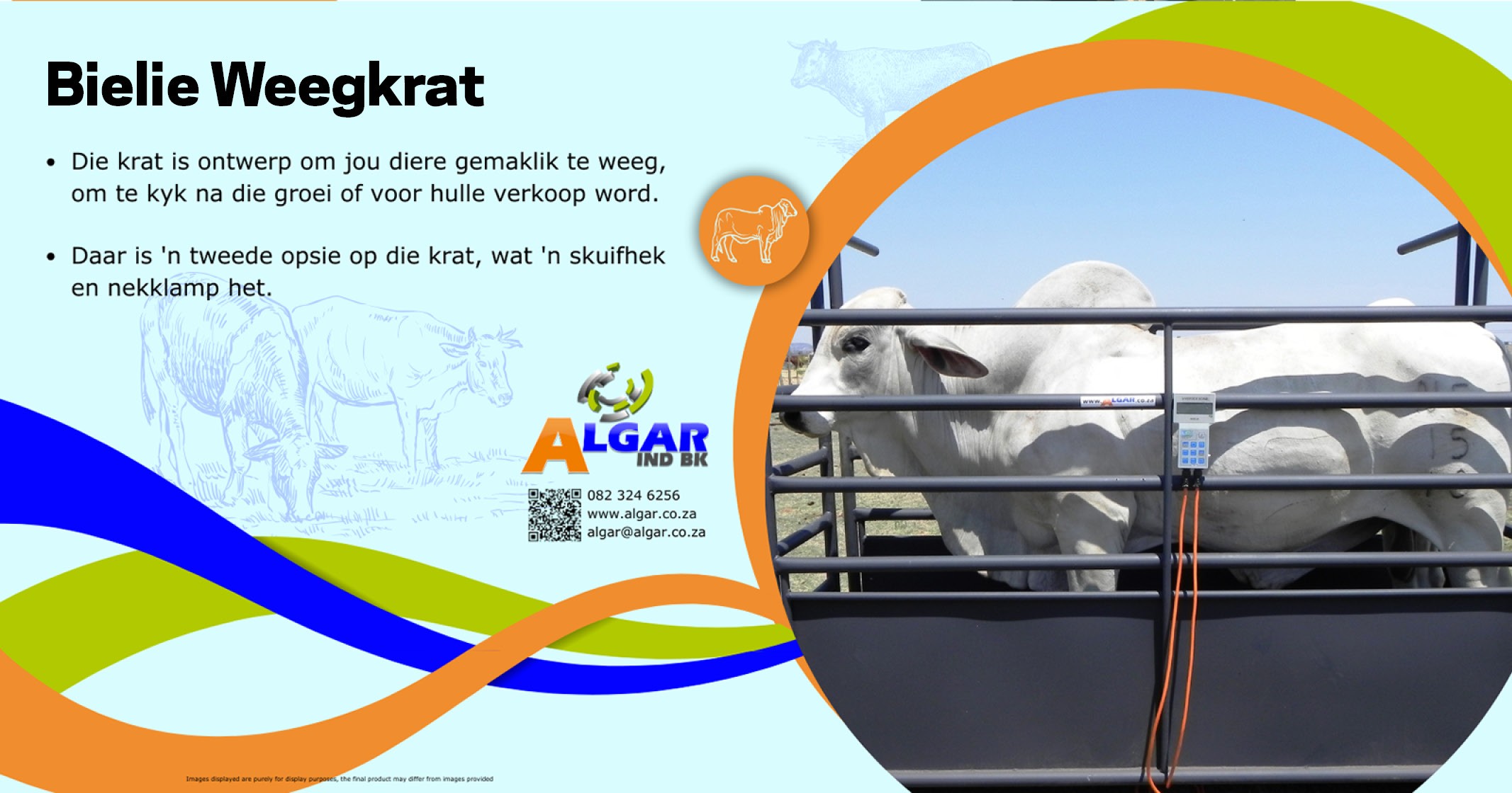 Bielie standard weigh crate / Bielie standaard weegkrat | Algar-103168