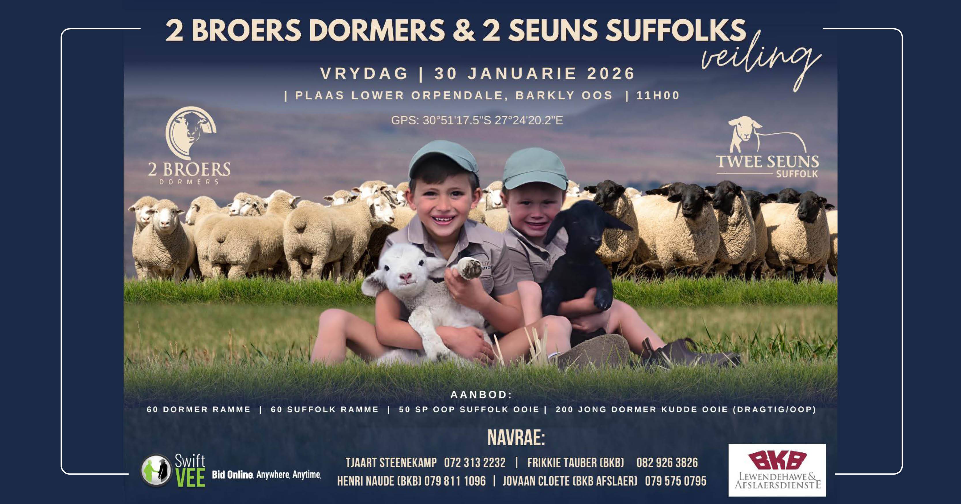 2 Broers Dormers & 2 Seuns Suffolks Veiling | 30 Januarie 2026 | 11:00 | Plaas Lower Orpendale