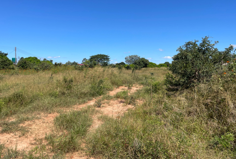 2700 m² vacant land for sale in Ibex Hill (Zambia) | Pam Golding - 3