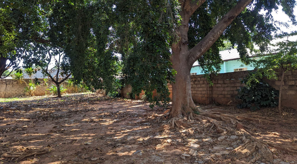 3 Bedroom house for sale in Woodlands (Zambia) | Pam Golding - 2