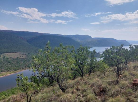 3Ha Small Holding For Sale in Loskop | Agrisell - 2