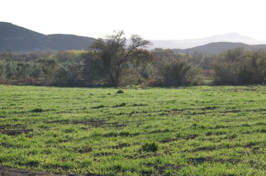 34Ha Farm For Sale in Prince Albert Rural | Agrisell - 3