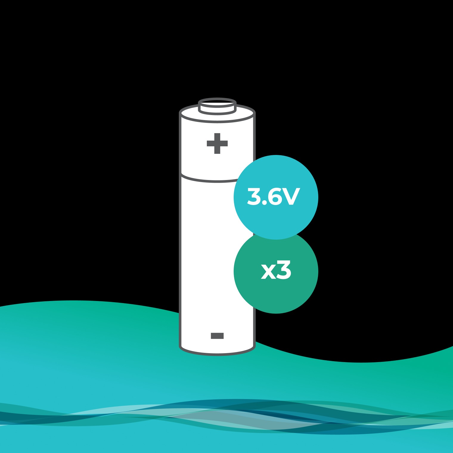 3.6V AA Lithium Batteries | JoJo