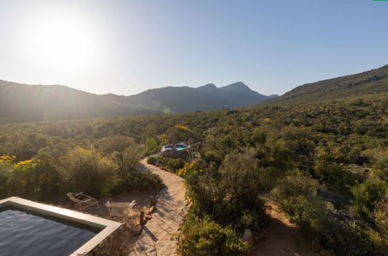 377Ha Farm For Sale in Wittewater | Agrisell