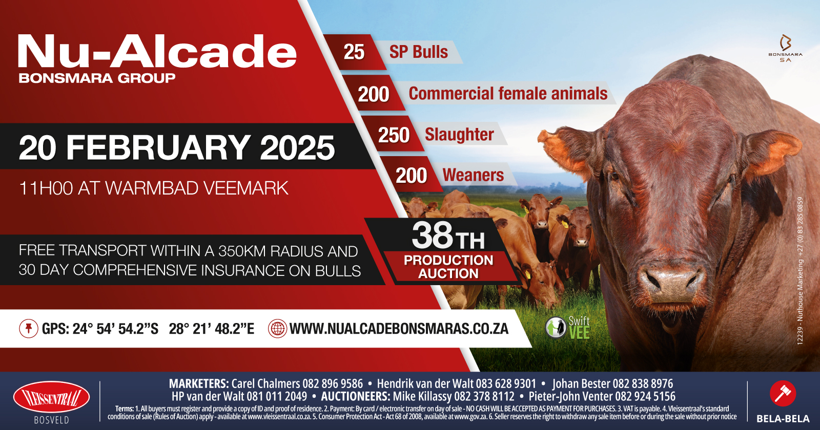 38th Nu-Alcade Bonsmara production auction / 20 February 2025 / Warmbath Veemark - 1
