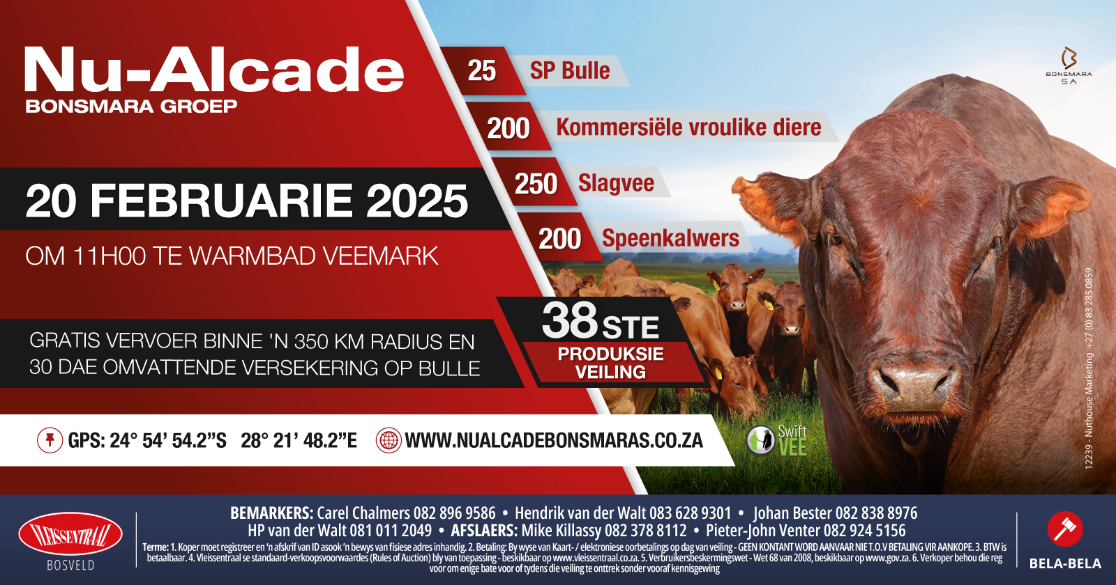 38th Nu-Alcade Bonsmara production auction / 20 February 2025 / Warmbath Veemark - 2