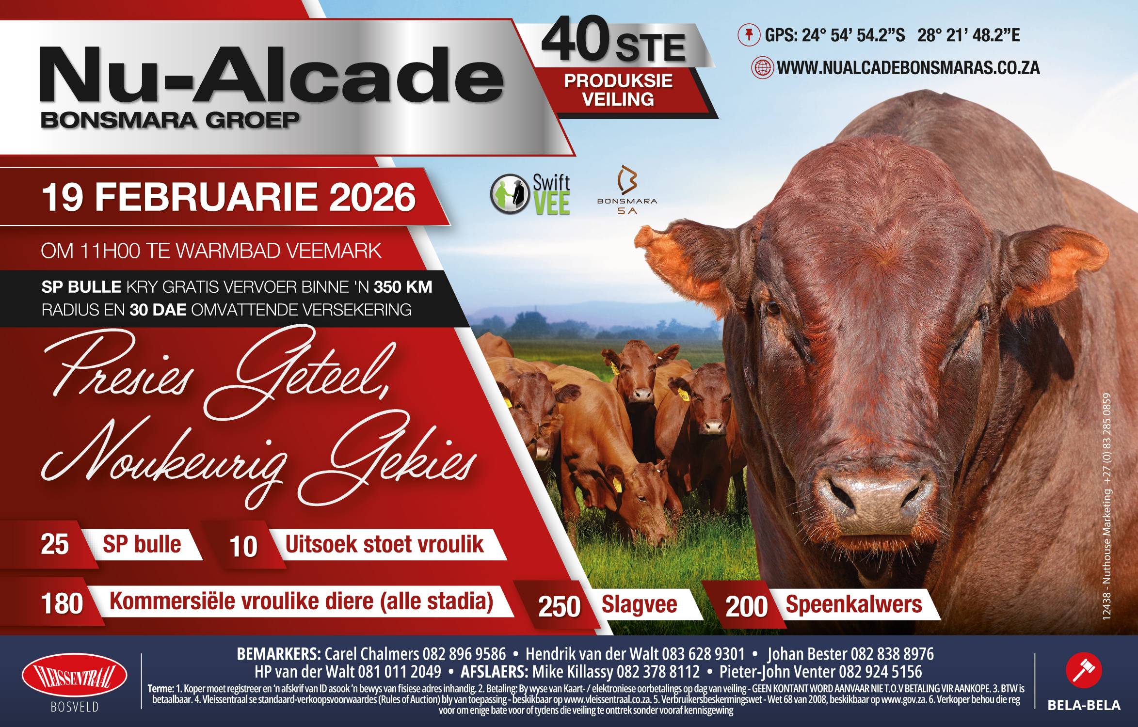 40th Nu-Alcade Bonsmara Production Auction | 19 February 2026 | 11:00 | Warmbad Veemark - 1