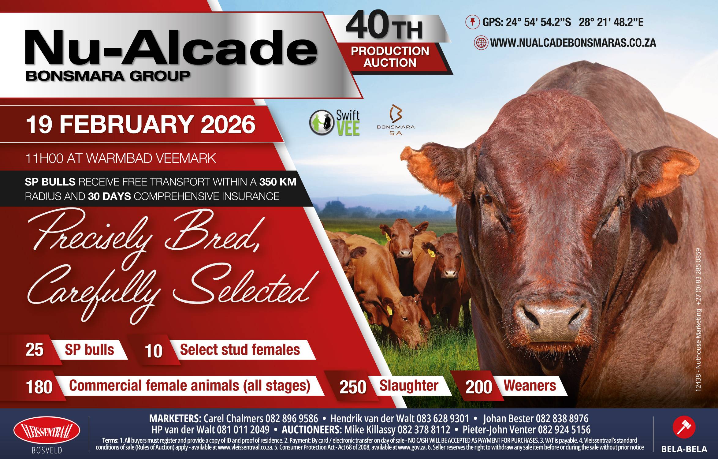 40th Nu-Alcade Bonsmara Production Auction | 19 February 2026 | 11:00 | Warmbad Veemark