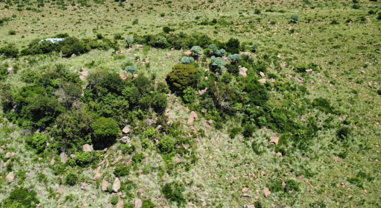 426 Ha Farm for sale in Belfast Rural | Agrisell - 2