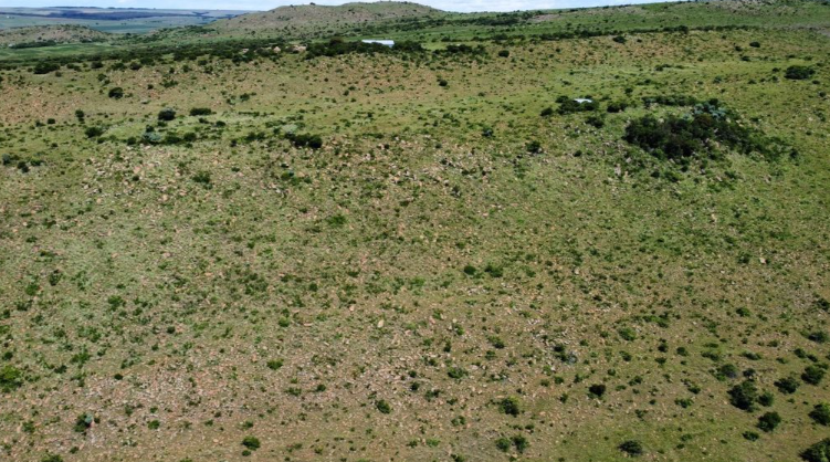 426 Ha Farm for sale in Belfast Rural | Agrisell - 3
