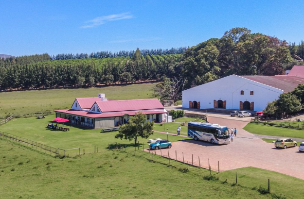 53.60 Ha Farm For Sale in Stellenbosch Farms | Agrisell - 6