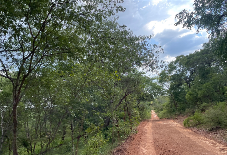 8000000 m² farm vacant land for sale in Shimabala, Lusaka Province (Zambia) - 2