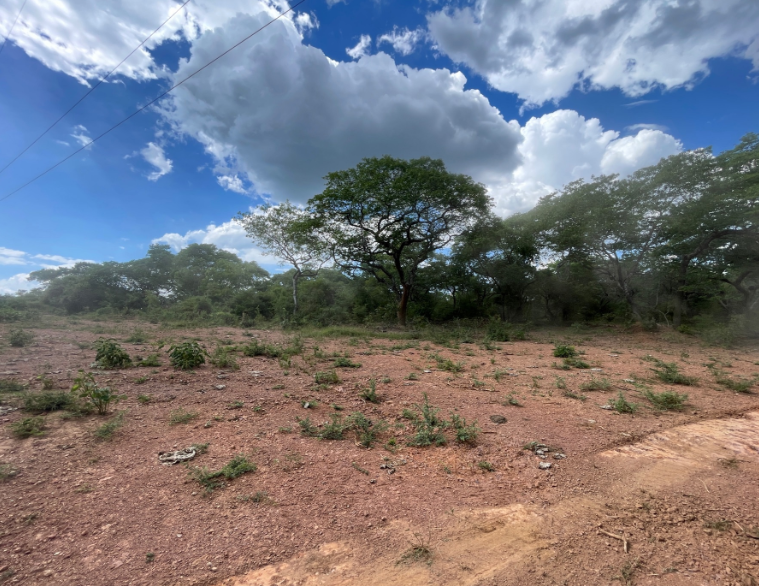 8000000 m² farm vacant land for sale in Shimabala, Lusaka Province (Zambia) - 5