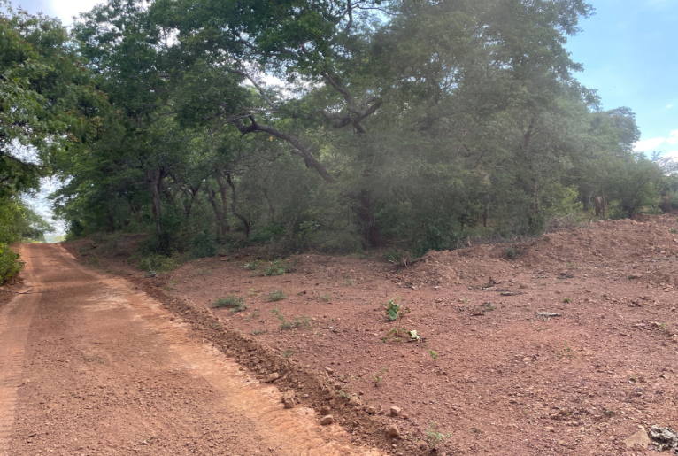 8000000 m² farm vacant land for sale in Shimabala, Lusaka Province (Zambia) - 1