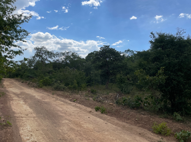 8000000 m² farm vacant land for sale in Shimabala, Lusaka Province (Zambia) - 6