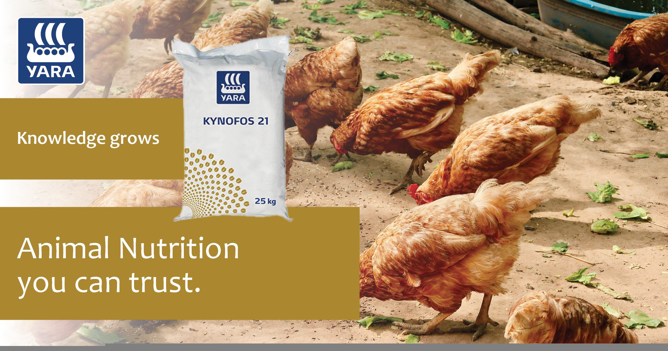 Kynofos 21 animal nutrition you can trust | YARA Animal Nutrition
