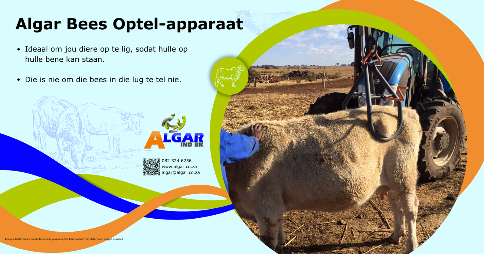 Algar cattle lifting clamp / Algar bees optel-apparaat - 1