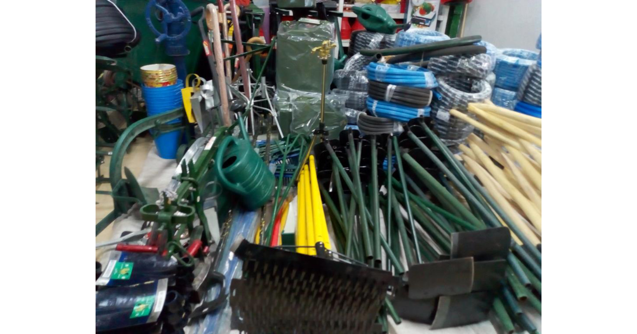 All the seeds YOU NEED distributor of various seeds | Farmers Barn Ltd - 6