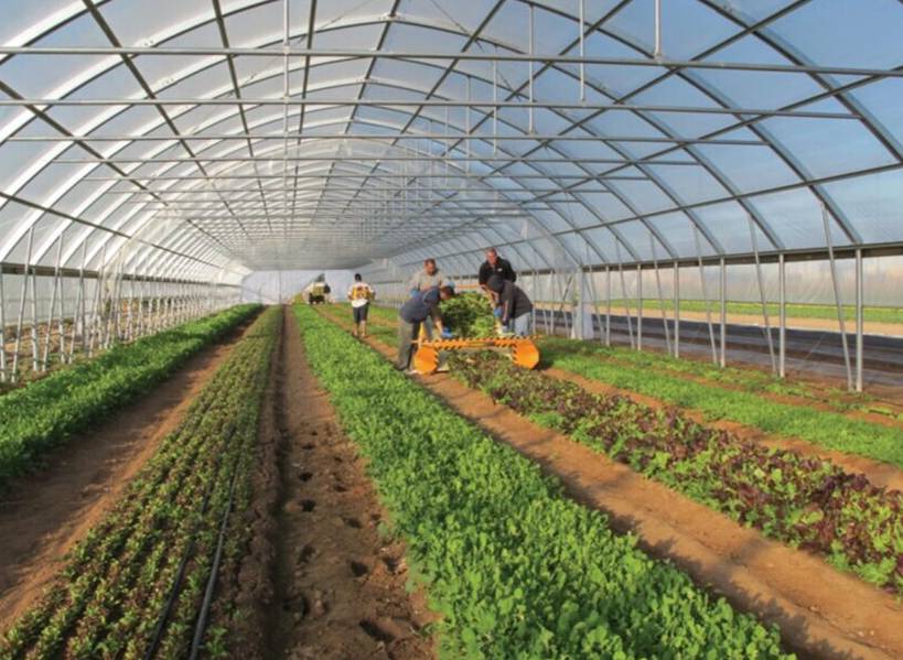BA Greenhouse Tunnels - 1