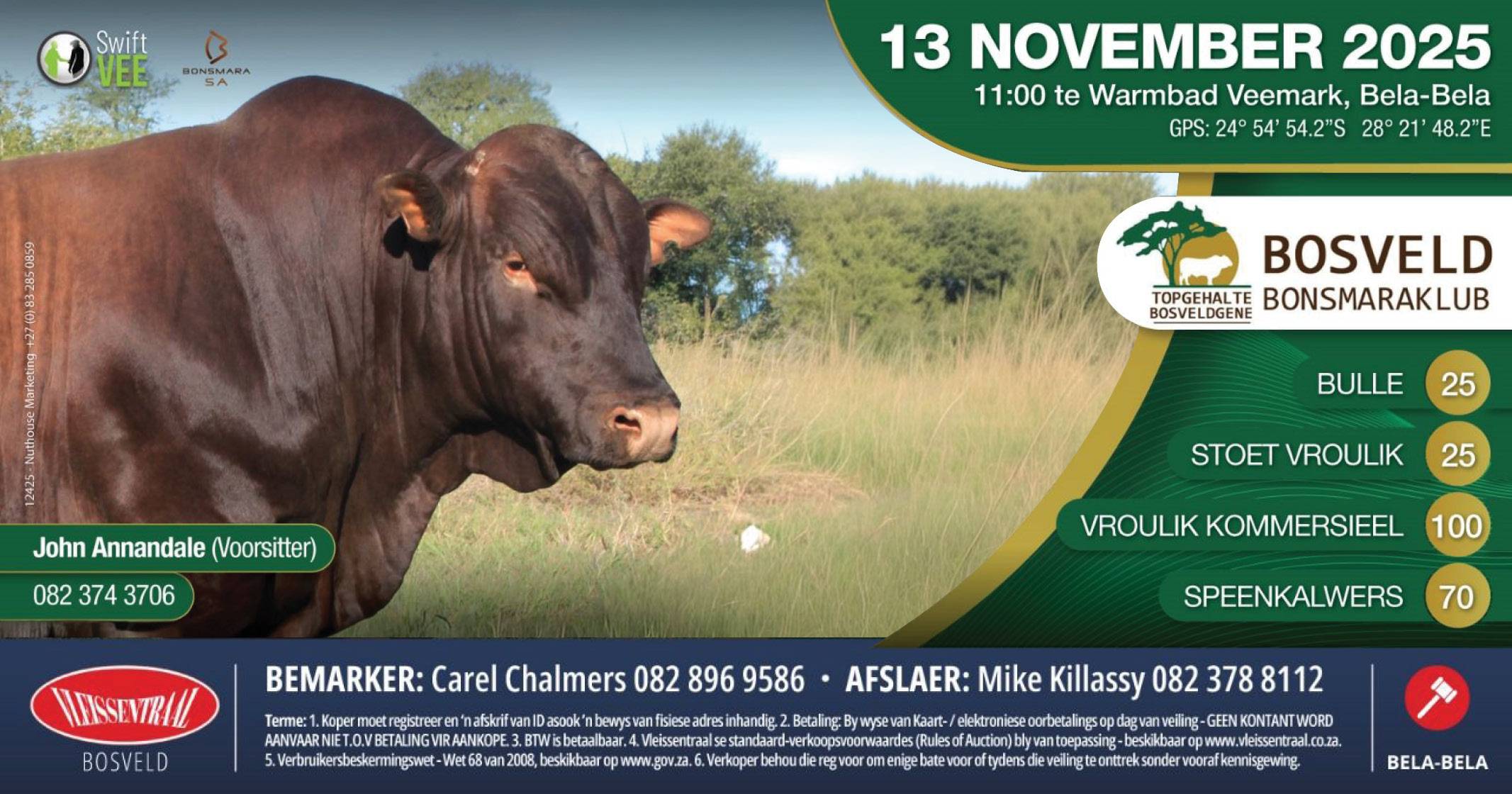 Bosveld Bonsmara Klubveiling | 13 November 2025 | 11H00 | Warmbad Veemark
