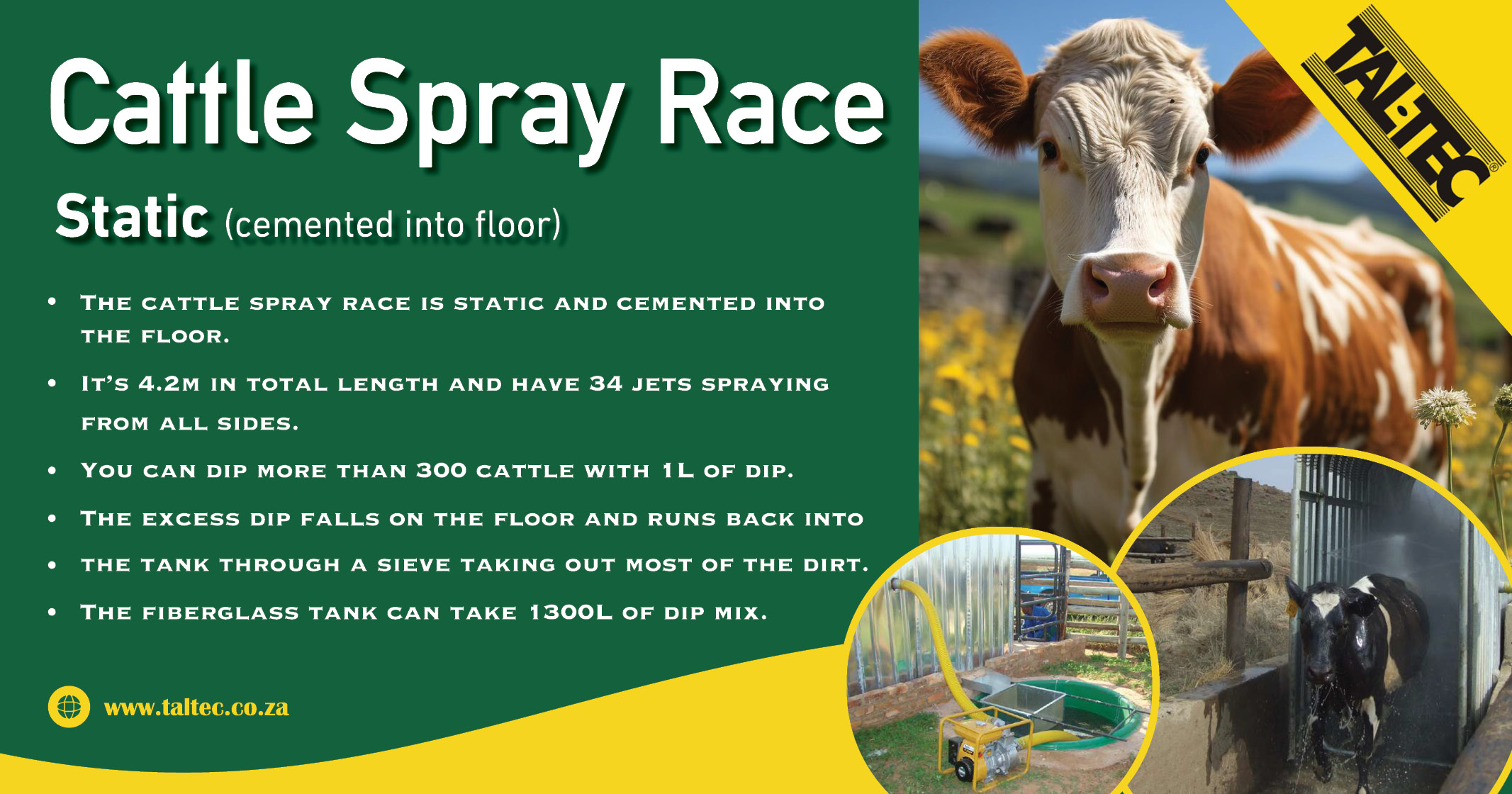 Cattle spray race | Static (cemented into floor) | Tal-Tec