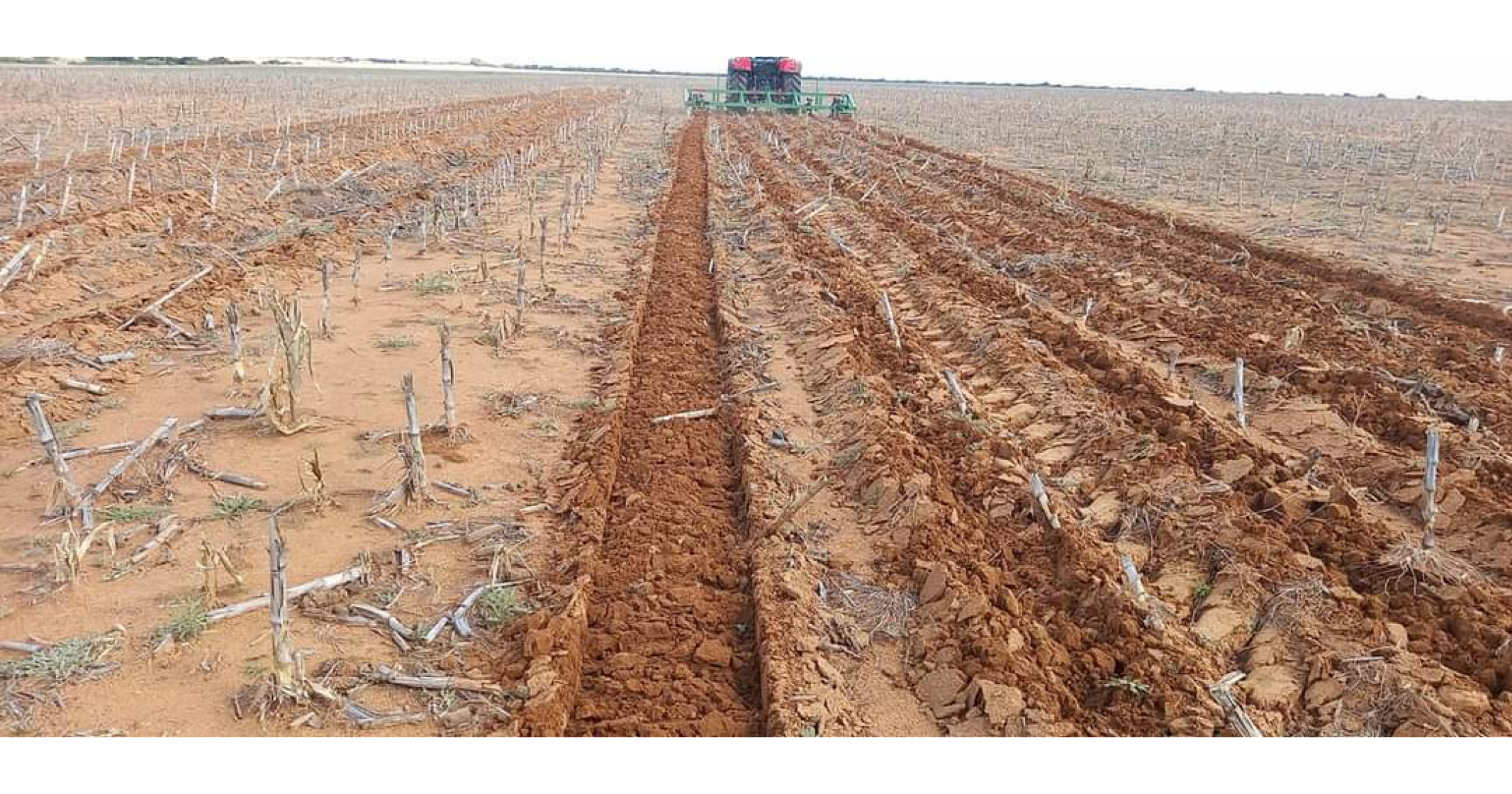 Closing coulter & roller units | Ripper Tillage Equipment - 1