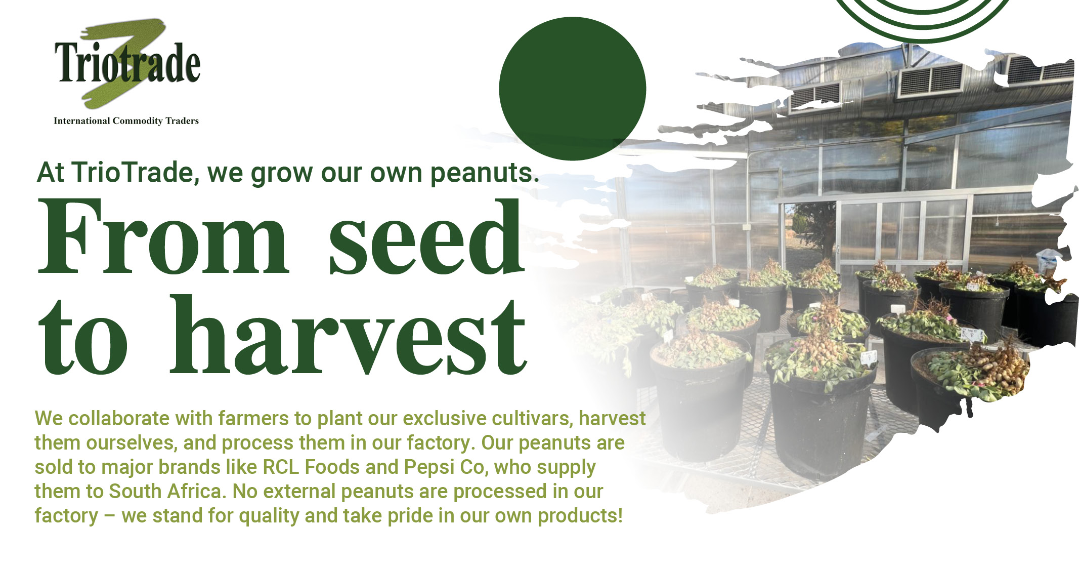 Collaborate with us from seed to havest | Triotrade