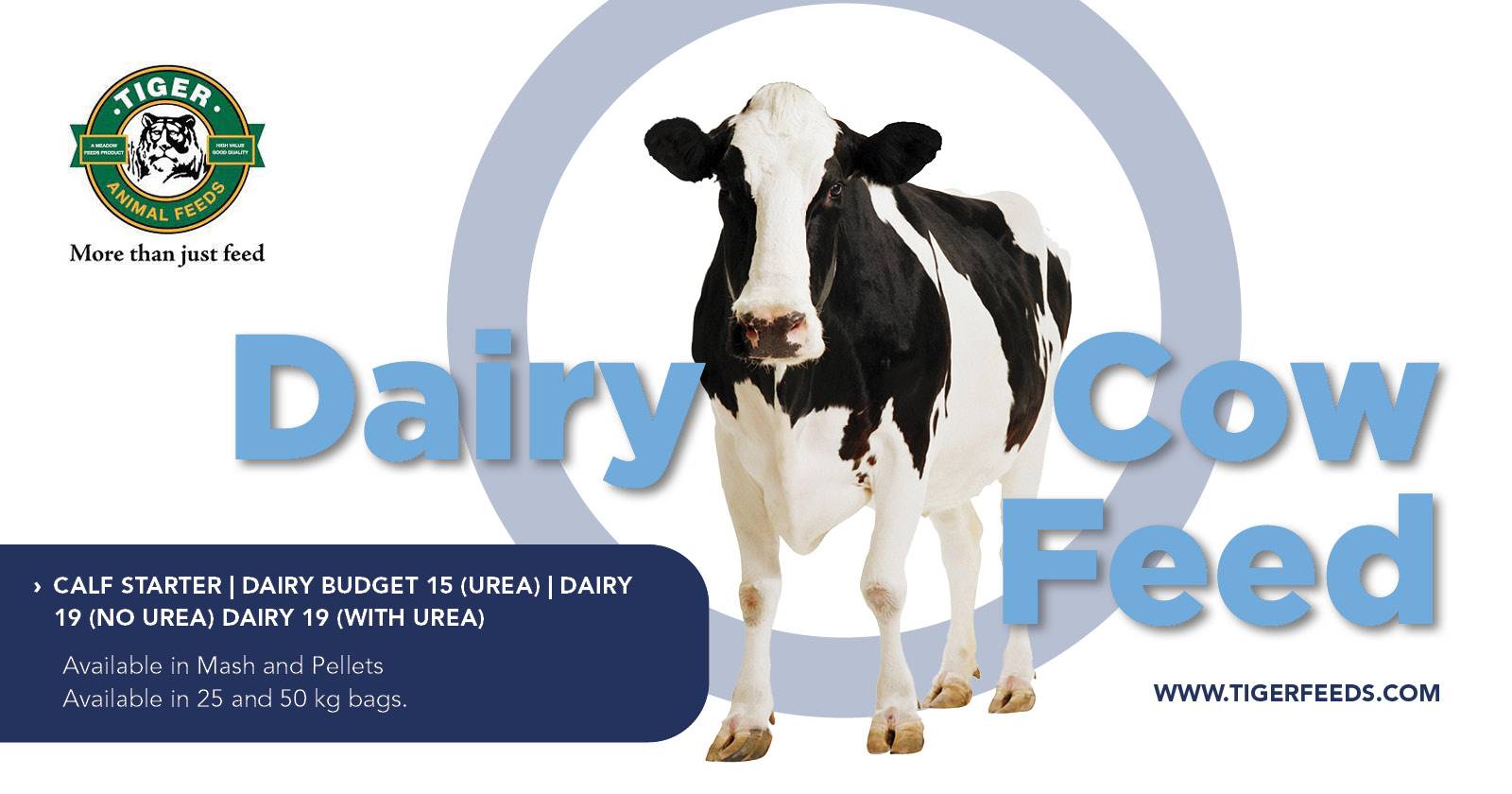 Dairy cow feed | Tiger Animal Feeds