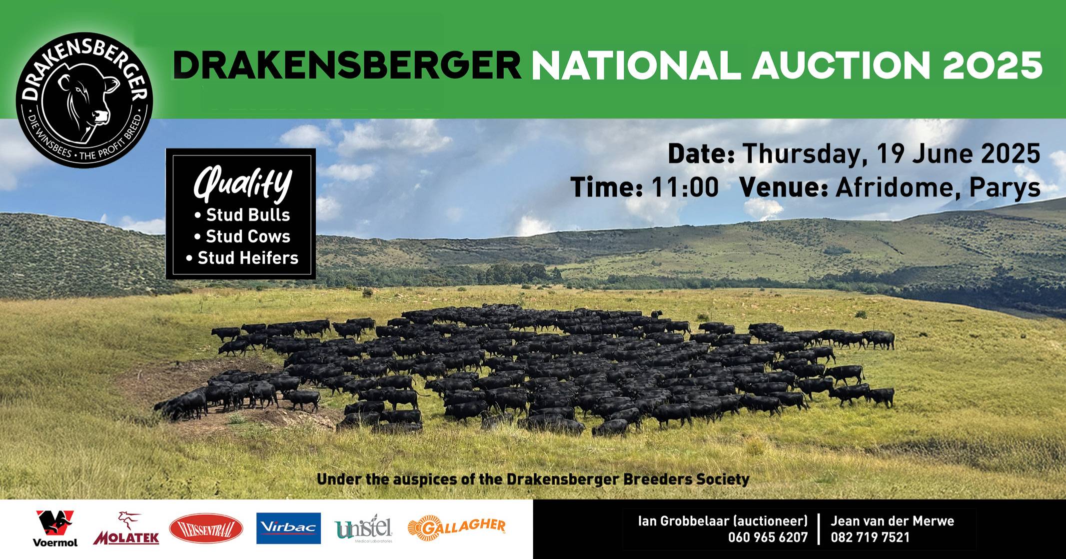 Drakensberger Nasionale Veiling | 19 Junie 2025 11:00 | Afridome, Parys - 1