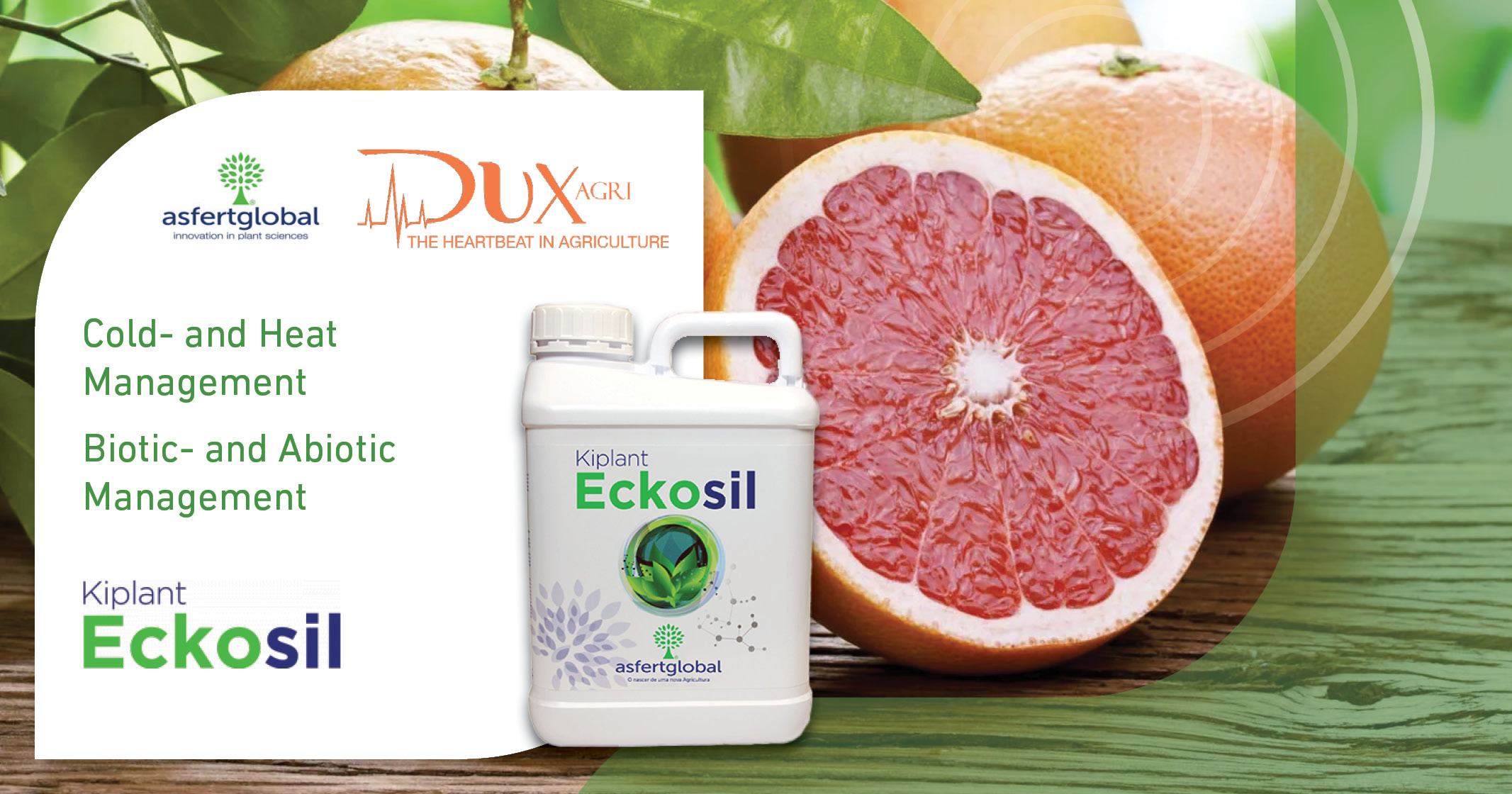 Eckosil | DuxAgri