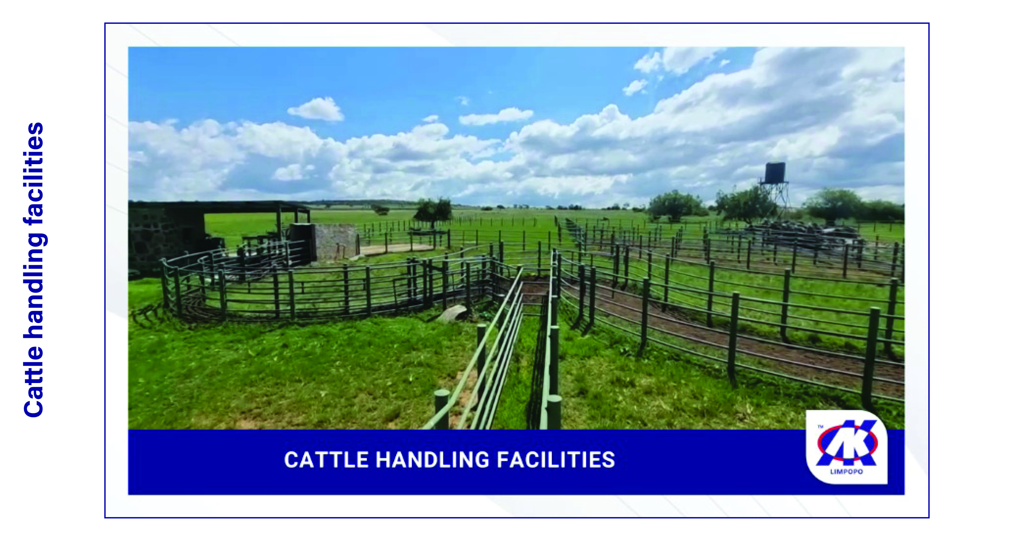 Farm Bamboeskloof on auction | Friday, 26 July 11:00, Warmbad Auction Pens - 8