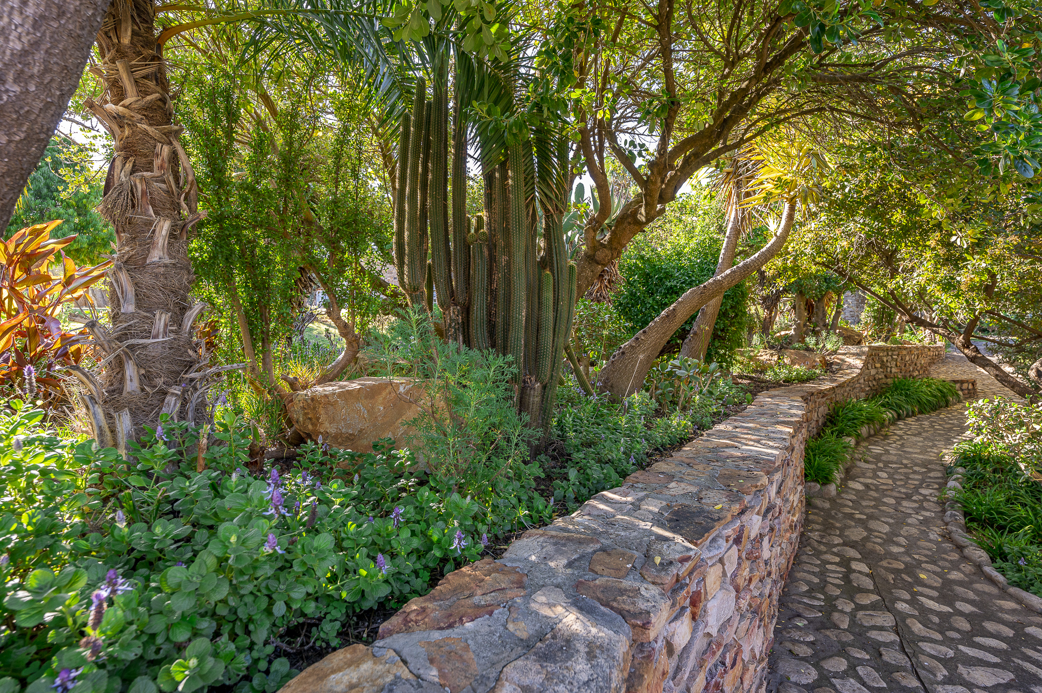 Farm for Sale in Uniondale Rural - 5