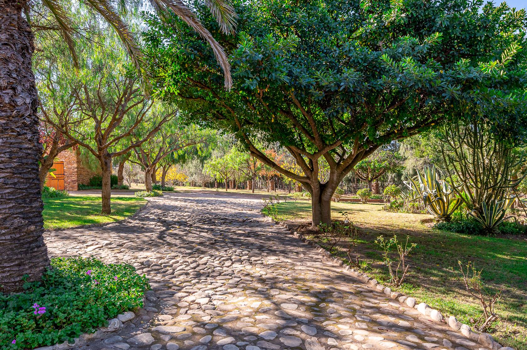 Farm for Sale in Uniondale Rural - 18