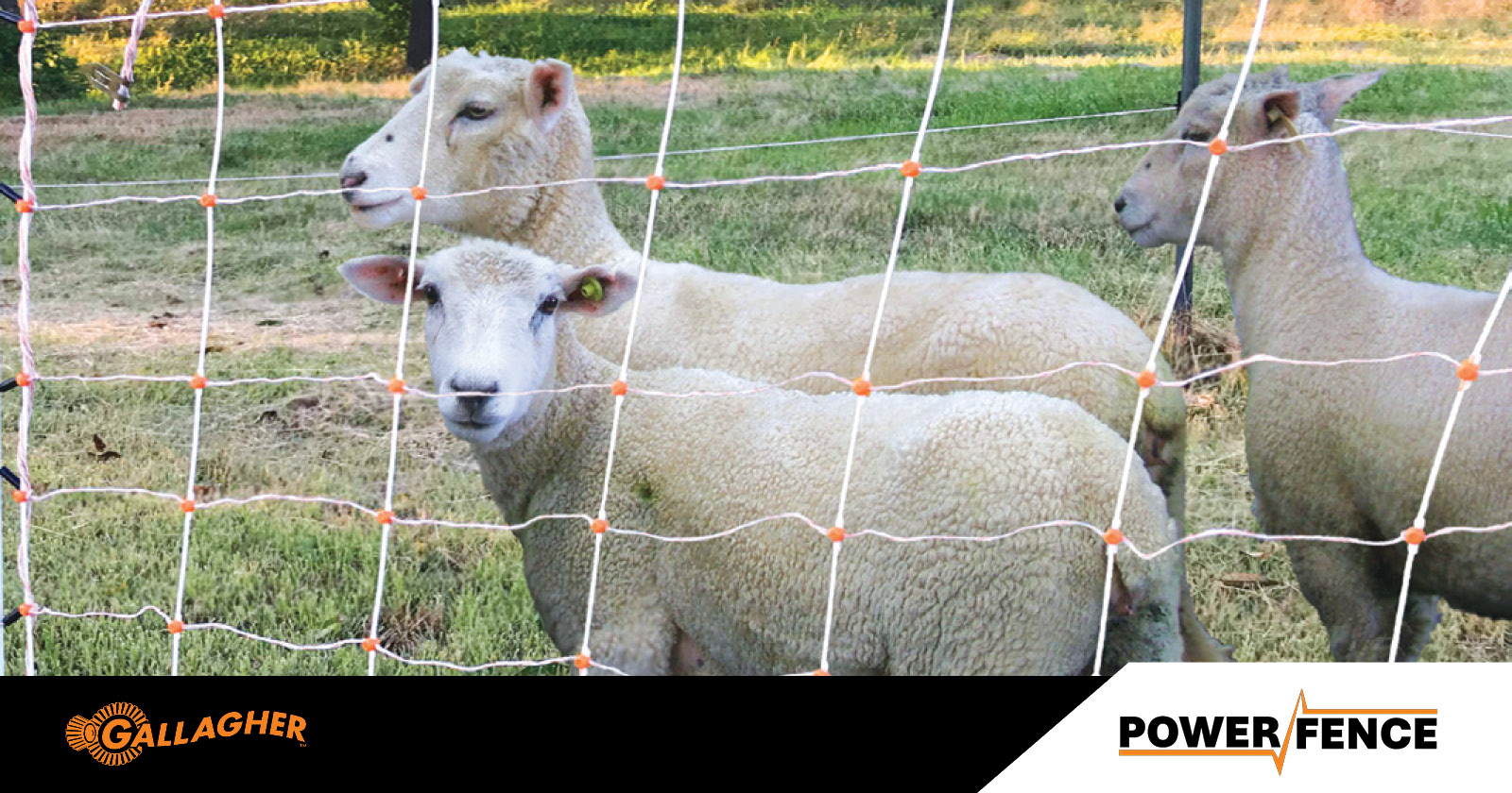 Fencing for commercial, industrial, farming, wildlife, portable and permanent fencing | Power Fence - 3