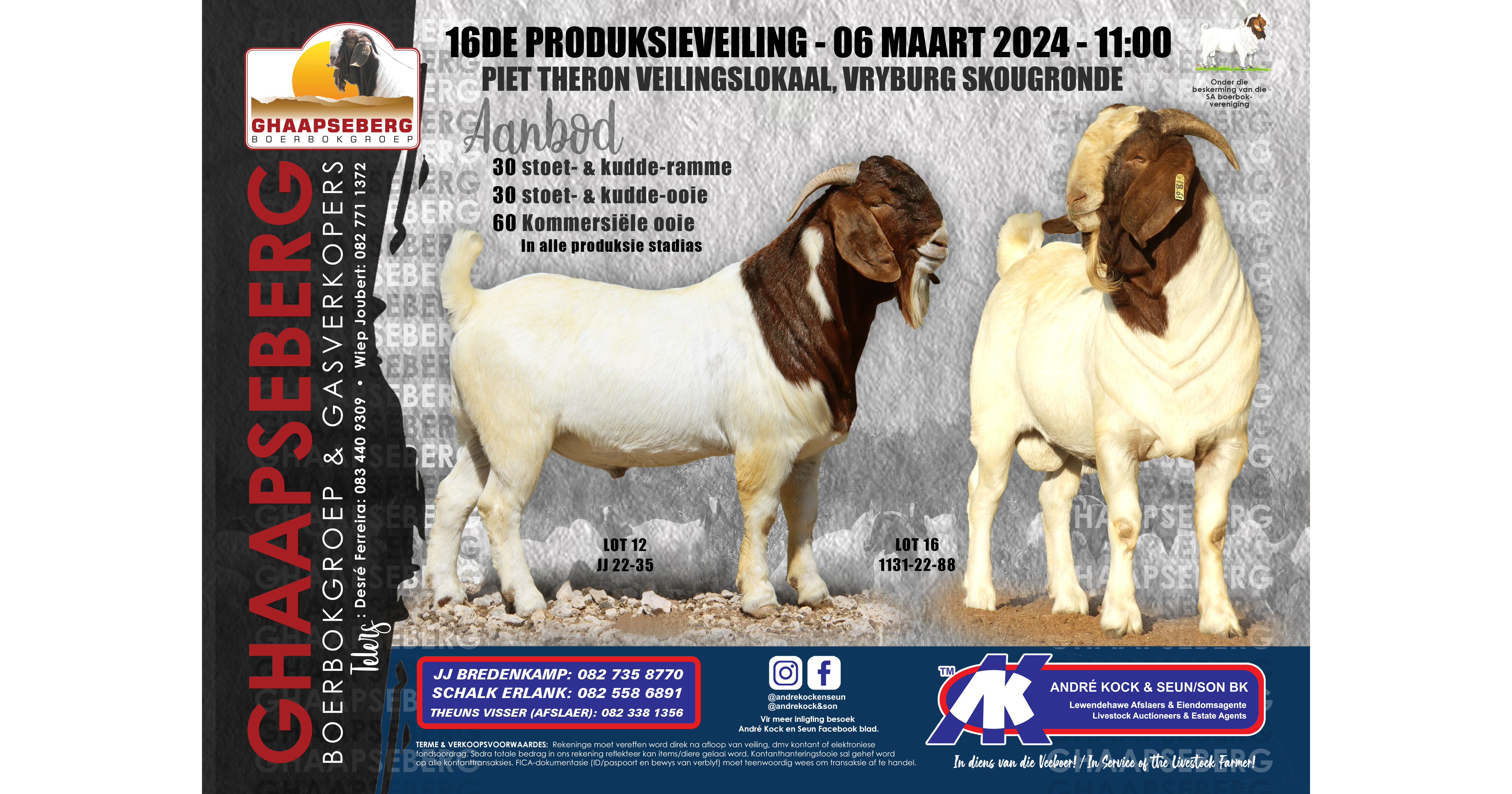Ghaapseberg Boerbokgroep | 15de Produksieveiling | 6 Maart 2024 - 1