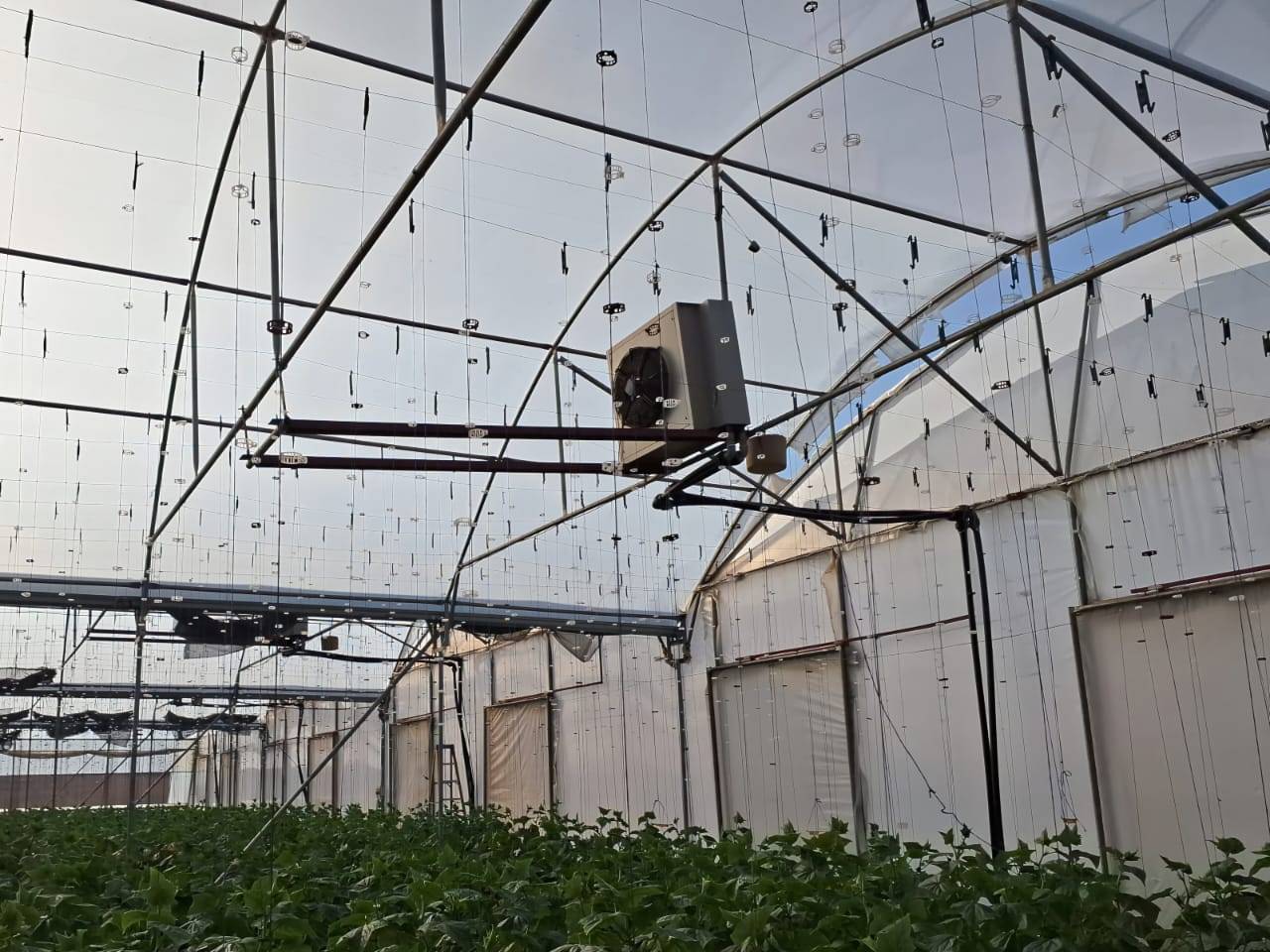 Going Concern: High- Tech Hydroponic Cucumber Farm for Sale. - 3