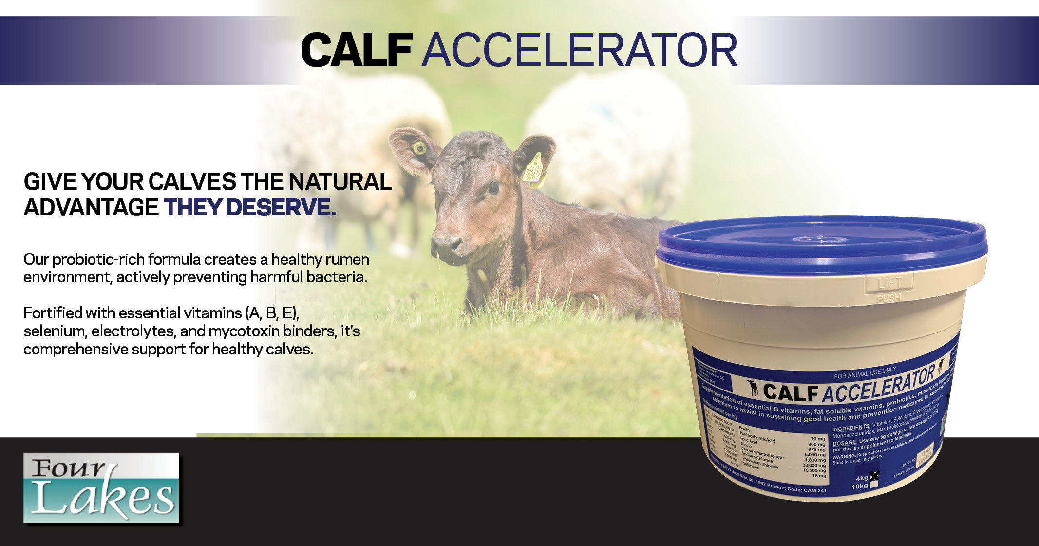 Healthier calves, the natural way | Calf Accelerator | Four Lakes