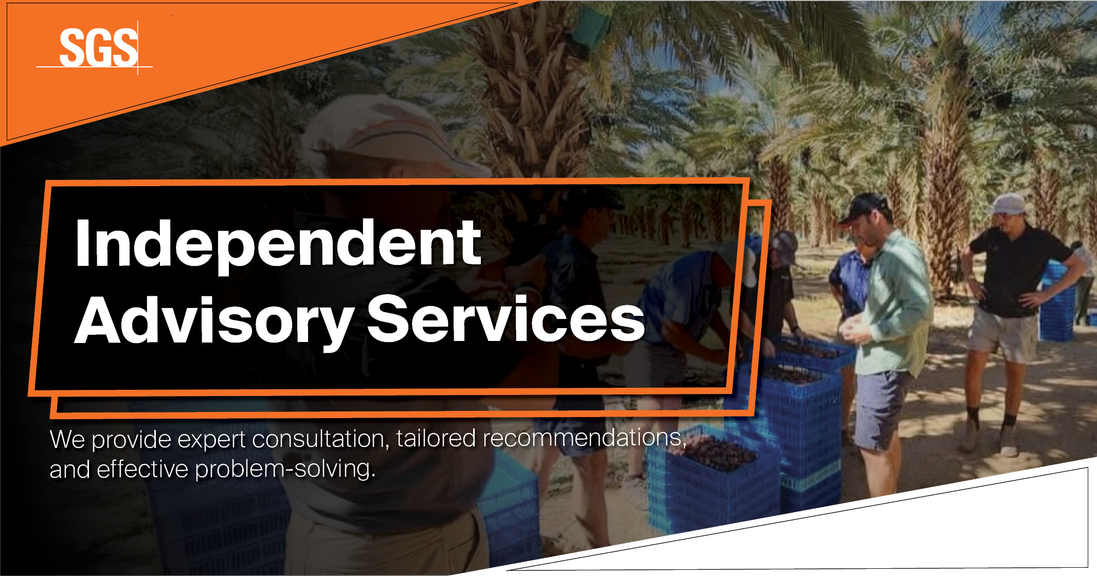 Independent Advisory services | SGS Nvirocrop