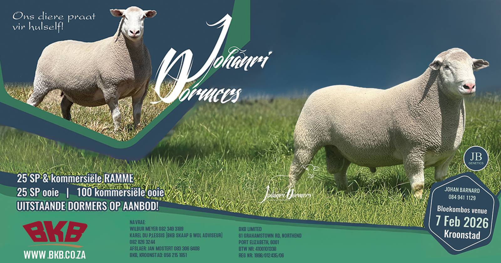 Johanri Dormers Veiling | 7 Februarie 2026 | Bloekombos Venue, Kroonstad