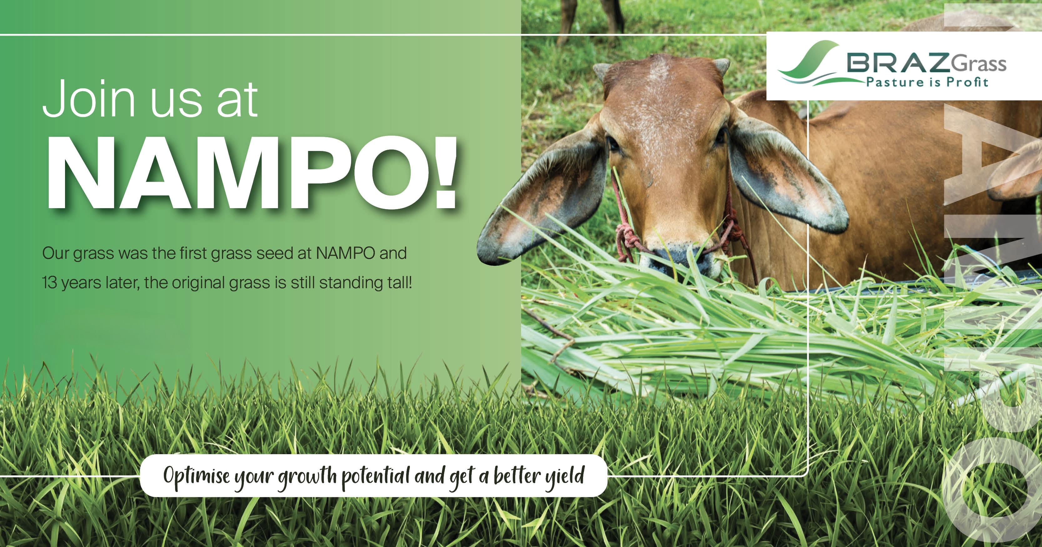 Join BRAZGrass at NAMPO 2025!