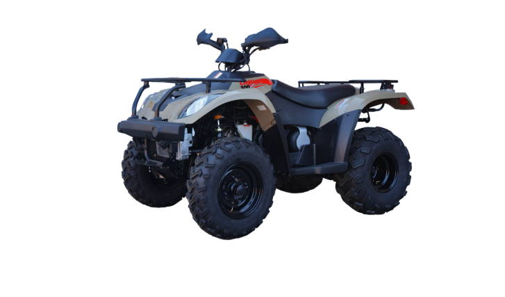Linhai Rustler 300 2x4 | Smith Power Equipment