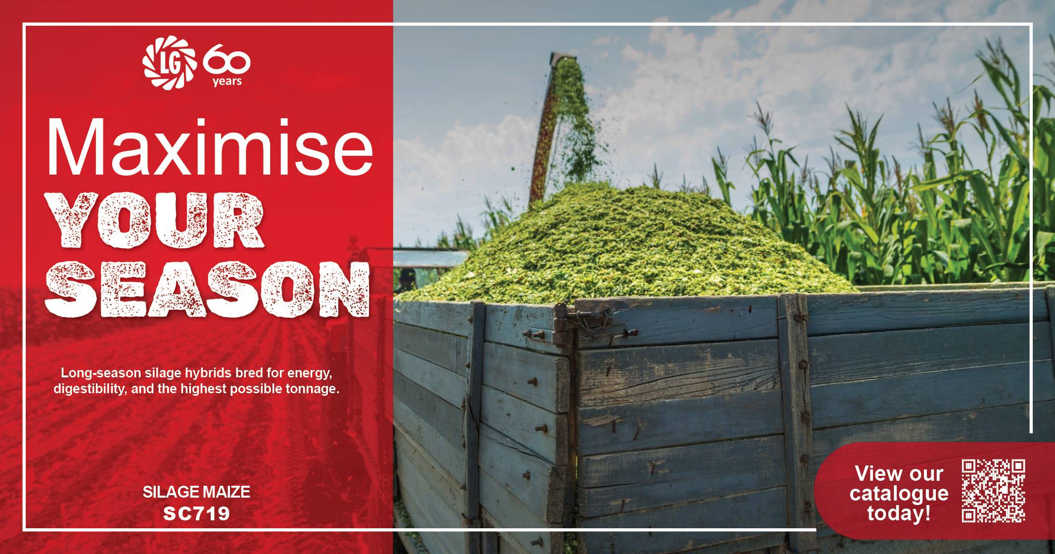 Maize silage | Maximise your season | Limagrain Field Seeds South Africa