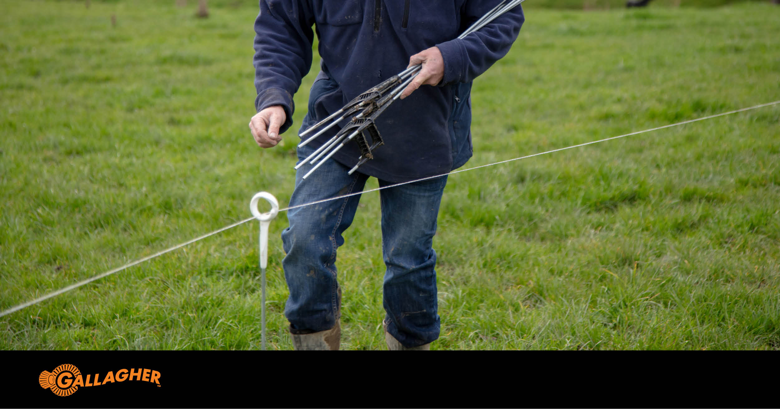 Manage your herd with strip grazing | Gallagher - 2