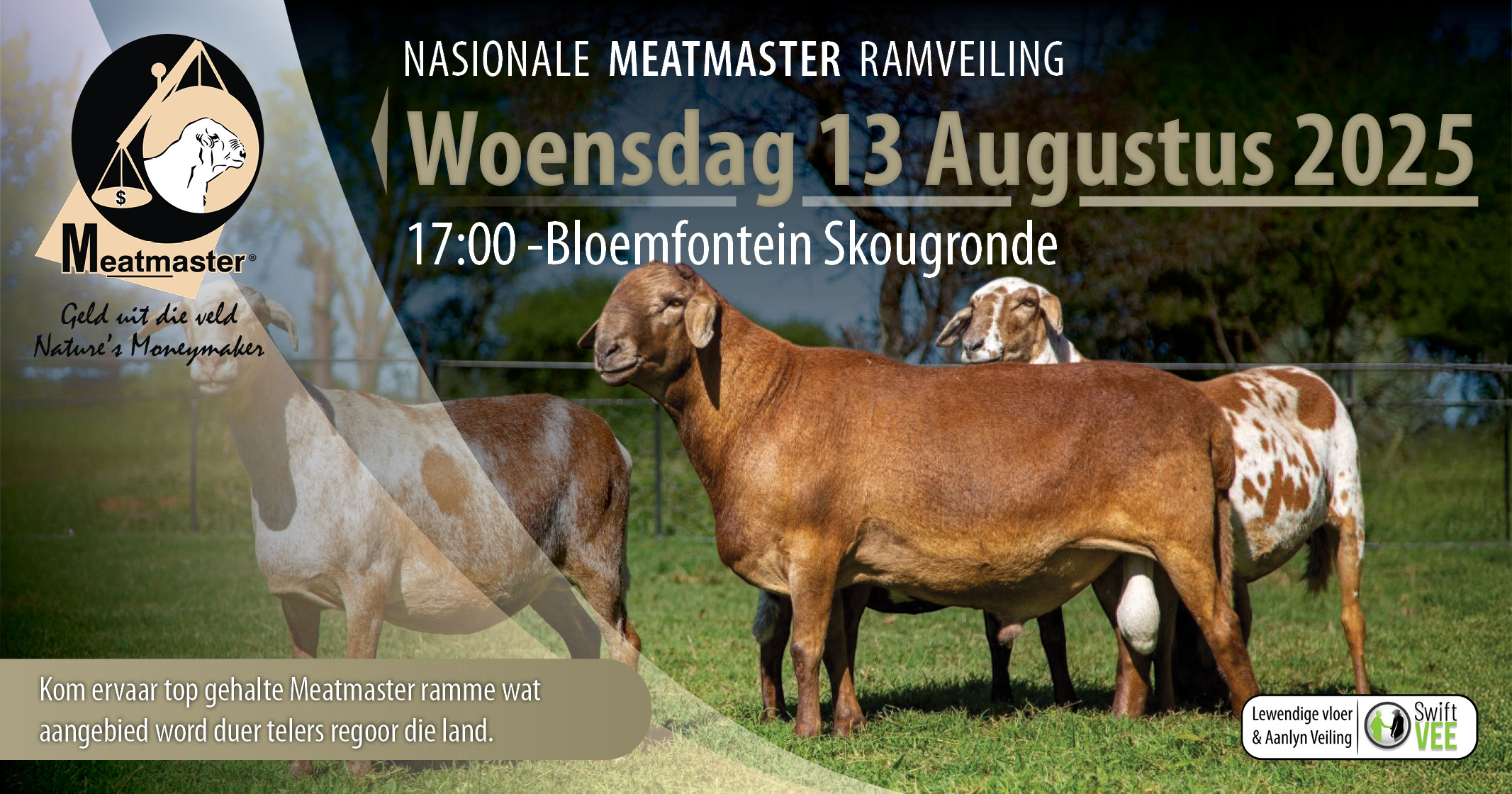 Nasionale Meatmaster Veiling & Expo | 12-14 Augustus 2025 | Bloemfontein Skougronde - 5