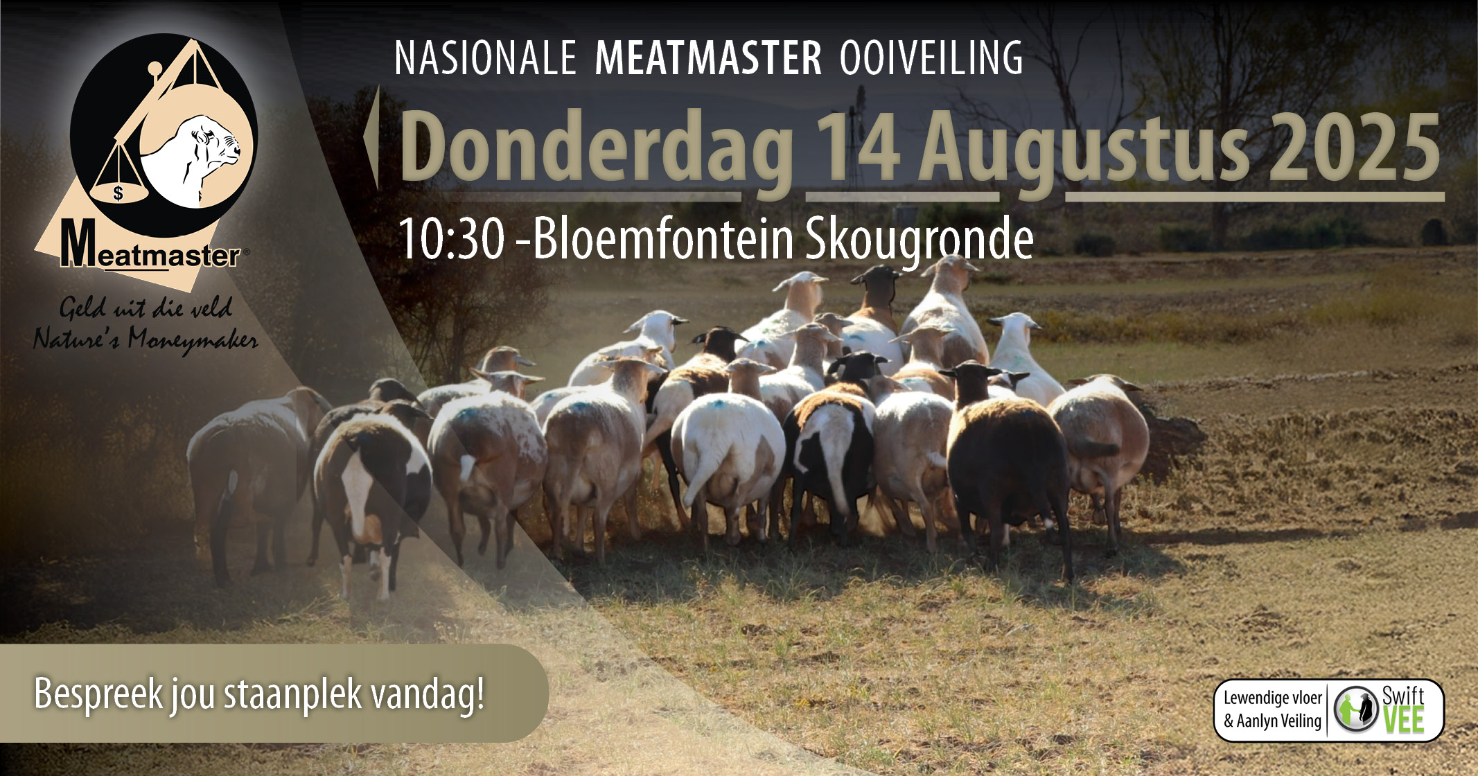 Nasionale Meatmaster Veiling & Expo | 12-14 Augustus 2025 | Bloemfontein Skougronde - 3