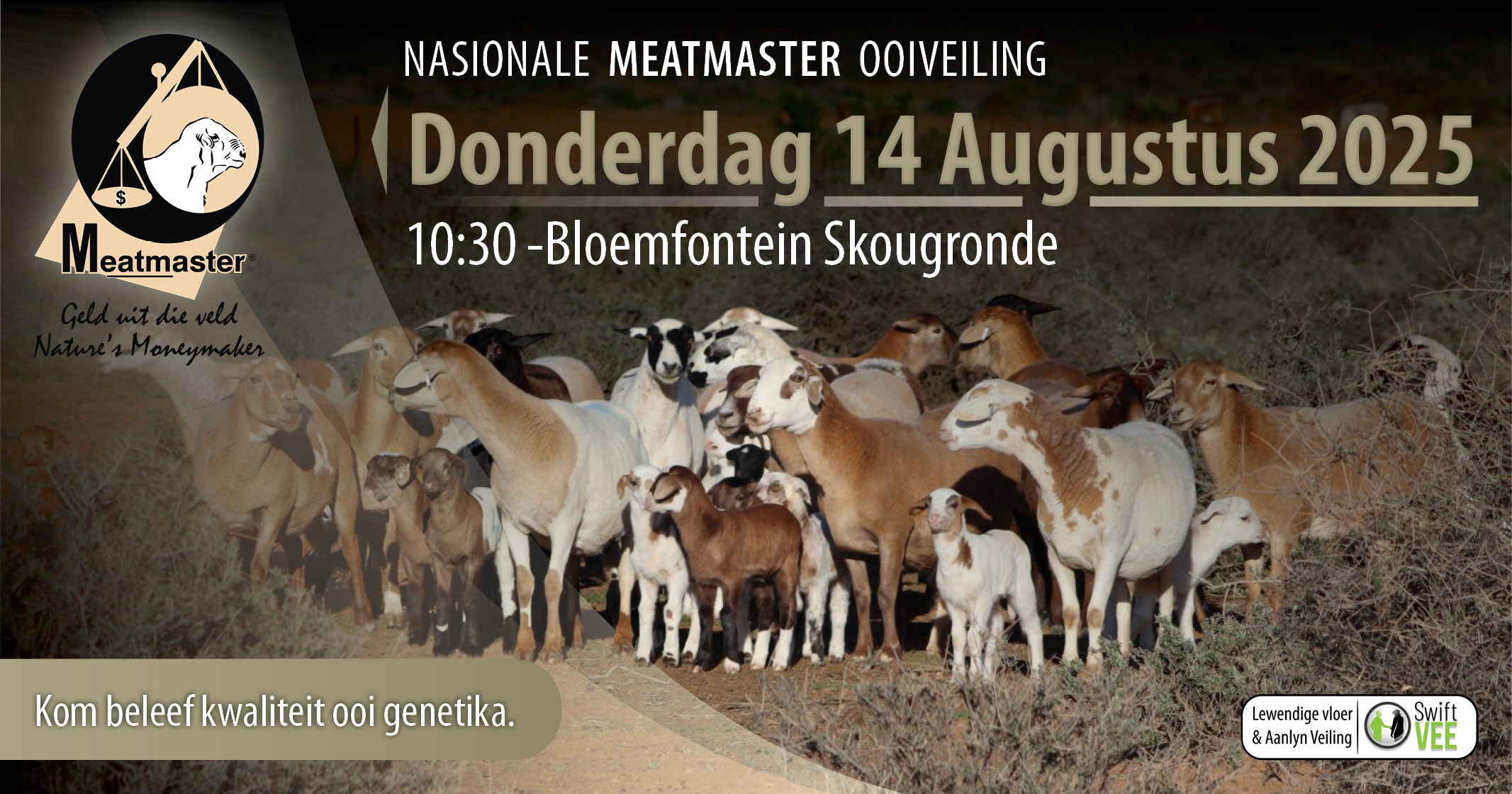 Nasionale Meatmaster Veiling & Expo | 12-14 Augustus 2025 | Bloemfontein Skougronde - 6