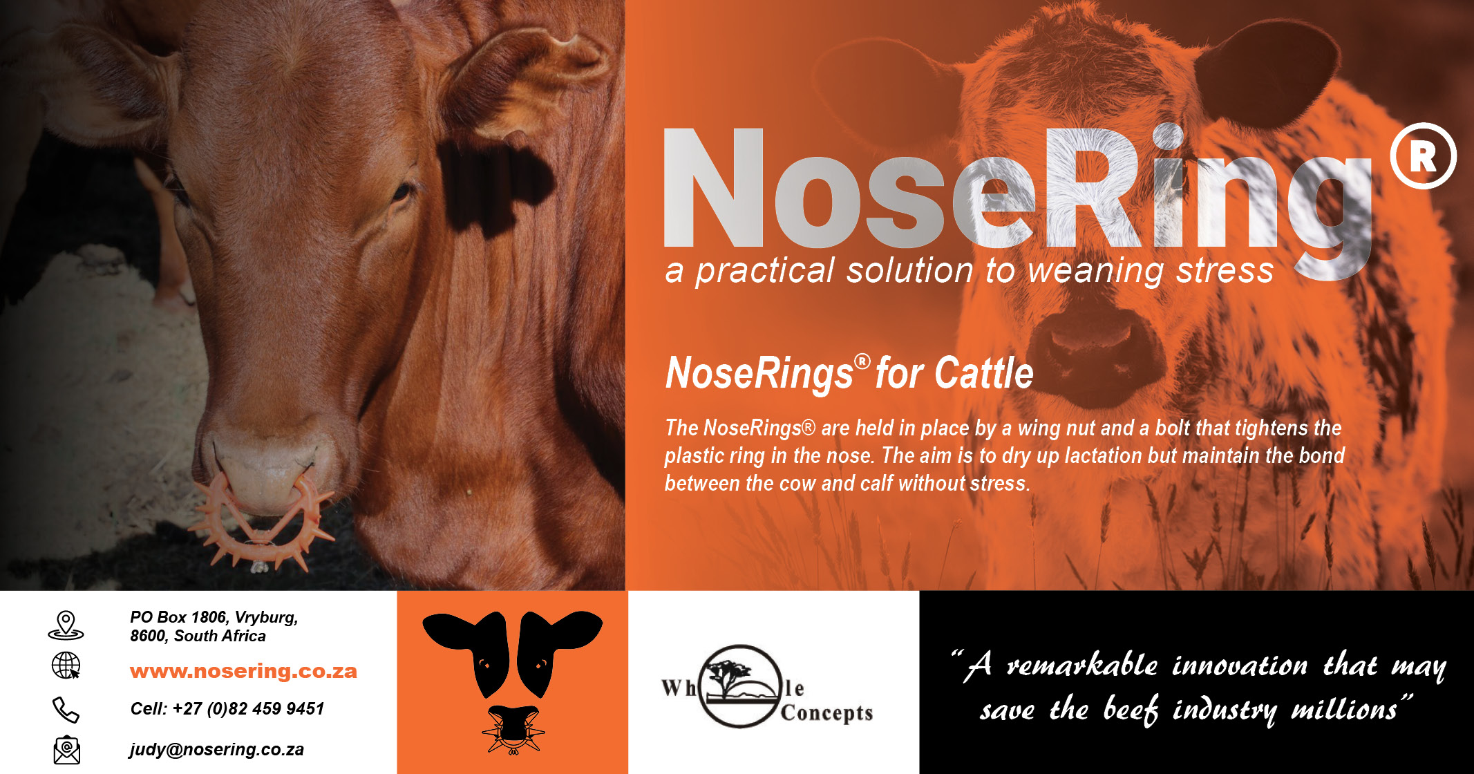 NoseRings® for cattle | Whole Concepts