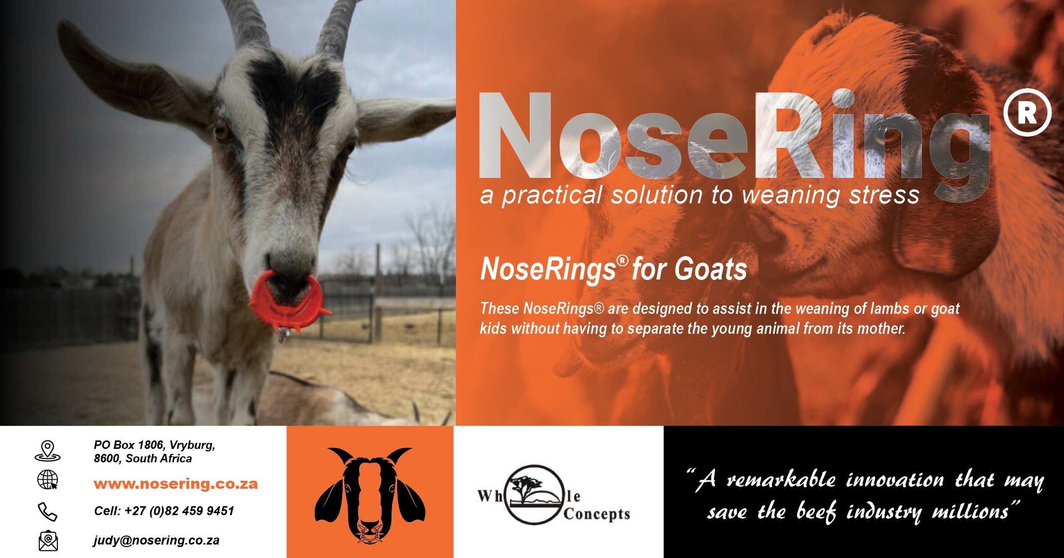 NoseRings® for goats | Whole Concepts