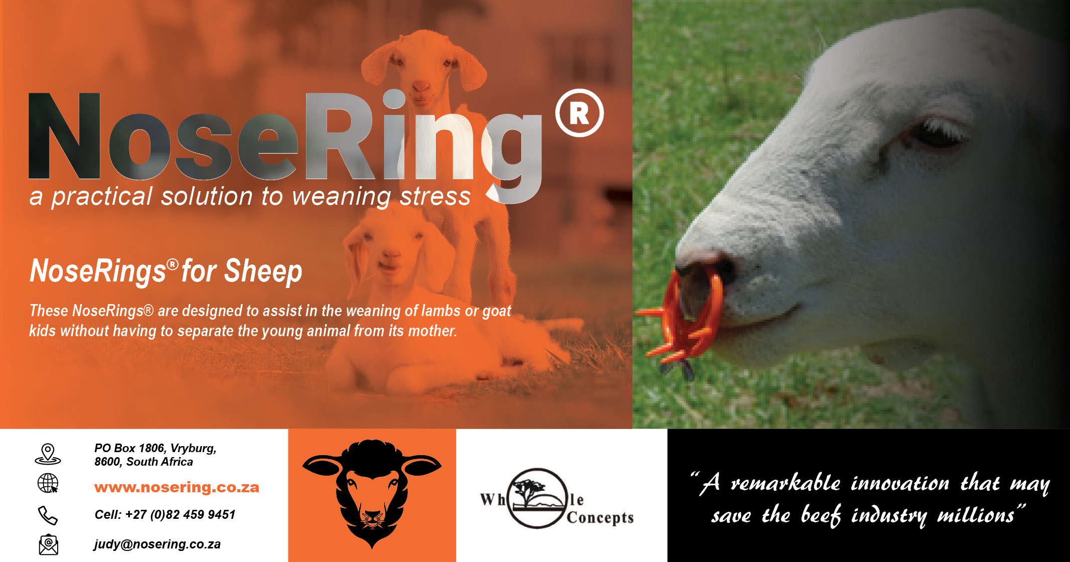 NoseRings® for sheep | Whole Concepts